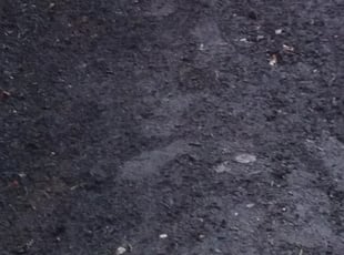 Cleanups by Stacie Jackson for Paula H. in Seattle, WA