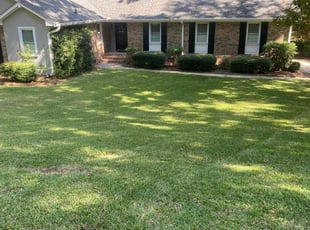 William C.'s Lawn Mowing service result