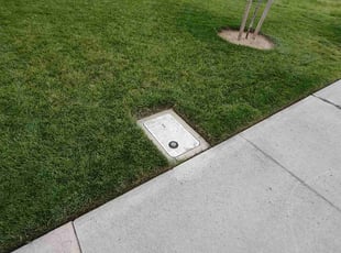 Seren O.'s Lawn Service service result