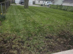 Leaf Removal by Leroy Green II for Vicky W. in Columbus, OH
