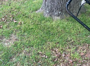 Leaf Removal by Curtis Stewart for Rebecca E. in North Little Rock, AR
