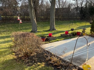 Leaf Removal by Israel Chavez for Pamela R. in Lombard, IL
