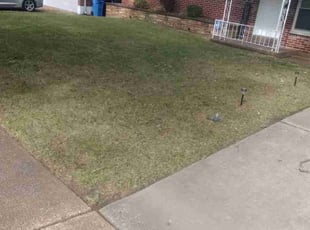 Leaf Removal by Damond Merridith for Denise H. in Florissant, MO