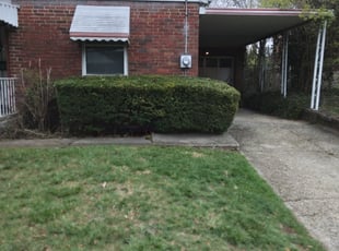 Bush Trimming by Terrance North for Scilla S. in Cincinnati, OH