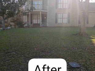 James C.'s Grass Cutting service result