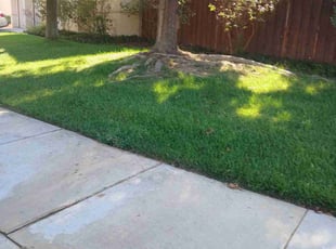 John B.'s Lawn Mowing service result