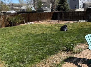 Leaf Removal by William Bonavida for Nimesh K. in Thornton, CO