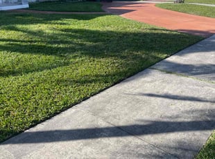 Millie C.'s Lawn Service service result