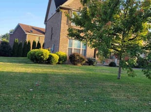 Carla M.'s Lawn Service service result