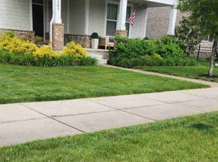 Bethany S.'s Grass Cutting service result