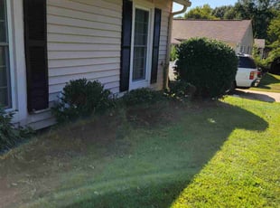 Bush Trimming by Daniela Budu for Mary F. in Taylors, SC