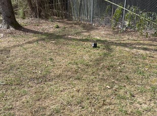 Leaf Removal by Fidel Rodriguez for Tasha M. in Temple Hills, MD