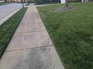 Jean S.'s Lawn Mowing Service service result
