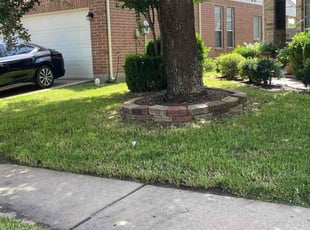 Donald S.'s Lawn Care service result
