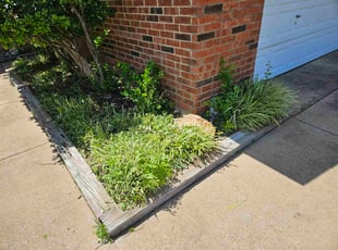 Correy E.'s Flower Bed Weeding service result