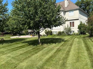 Janis R.'s Lawn Service service result