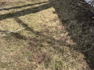 Cleanups by Kenneth Mccarthy for Susana J. in Wethersfield, CT