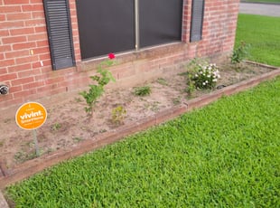 Weeding by Clarence Bryant for Dadedrickka G. in Houston, TX