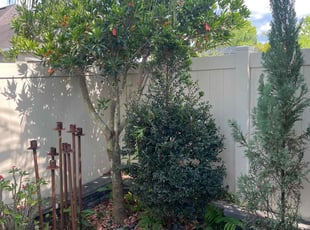 Bush Trimming by Deidra James for Michael C. in Orlando, FL
