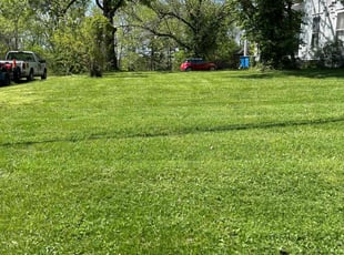 Jared H.'s Lawn Mowing service result
