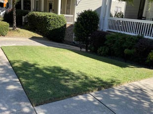 Keitoria L.'s Lawn Service service result