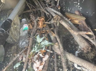 Cleanups by Dylan Gaston for Derron B. in Fenton, MO