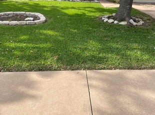 Vanessa C.'s Lawn Care service result