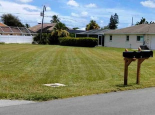 Savannah M.'s Yard Cutting service result
