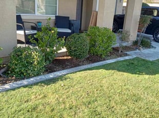Bush Trimming by Mario Monje for Jay M. in Murrieta, CA