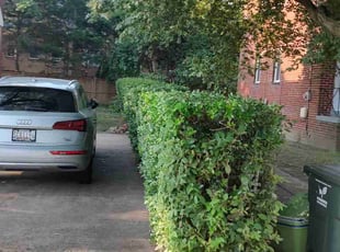 Harika C.'s Bush Trimming service result