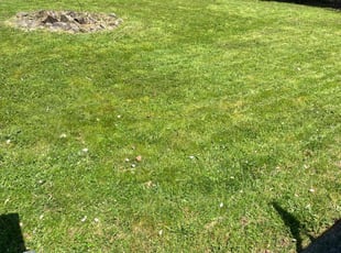 Robert H.'s Grass Cutting service result