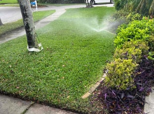 Serge P.'s Lawn Maintenance service result