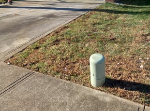 Leaf Removal by Jose Pena for Maureen A. in Charlotte, NC