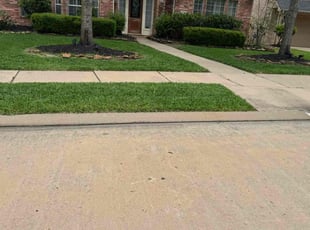 Miankha L.'s Lawn Care service result