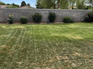 Weeding by Jonathan Bell for Ruth E. in Gilbert, AZ
