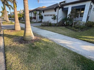 Marveina E.'s Lawn Care service result