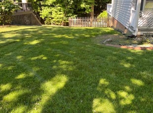 Callie A.'s Lawn Maintenance service result