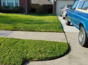 Ali S.'s Lawn Service service result