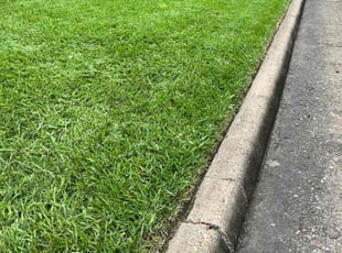 Sarah B.'s Lawn Mowing Service service result