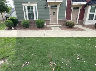 Weeding by Vitaliy Brylev for Jonathan T. in Charlotte, NC