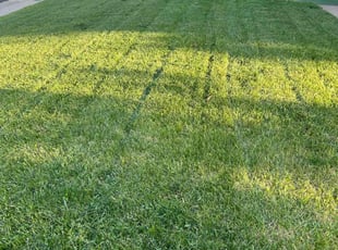 Paul Q.'s Lawn Service service result