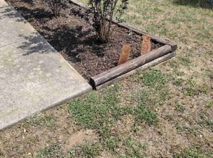 Weeding by Jeronimo Barrientos for Edgar C. in Austin, TX