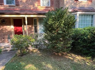 Bush Trimming by Edwin Villagran for Glenn G. in Gaithersburg, MD