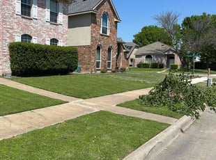 Tinisha B.'s Lawn Care service result