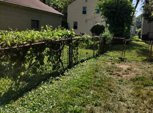 Weeding by Chris Steinhour for Bonnie C. in Columbus, OH