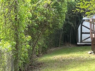 Bush Trimming by Shawn Green for Jasmine M. in Hillsborough, NC
