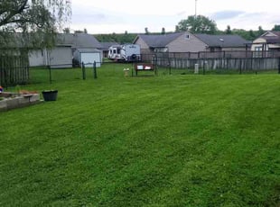 Amanda M.'s Lawn Service service result