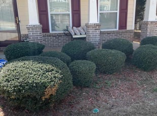 Bush Trimming by Jeffrey Curtis for Sharon J. in Fairburn, GA
