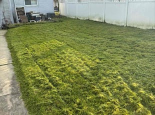 Myles F.'s Lawn Care service result