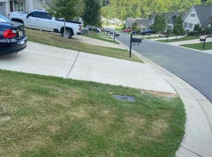 Bush Trimming by Decorey Purifie for Ryan P. in Irondale, AL